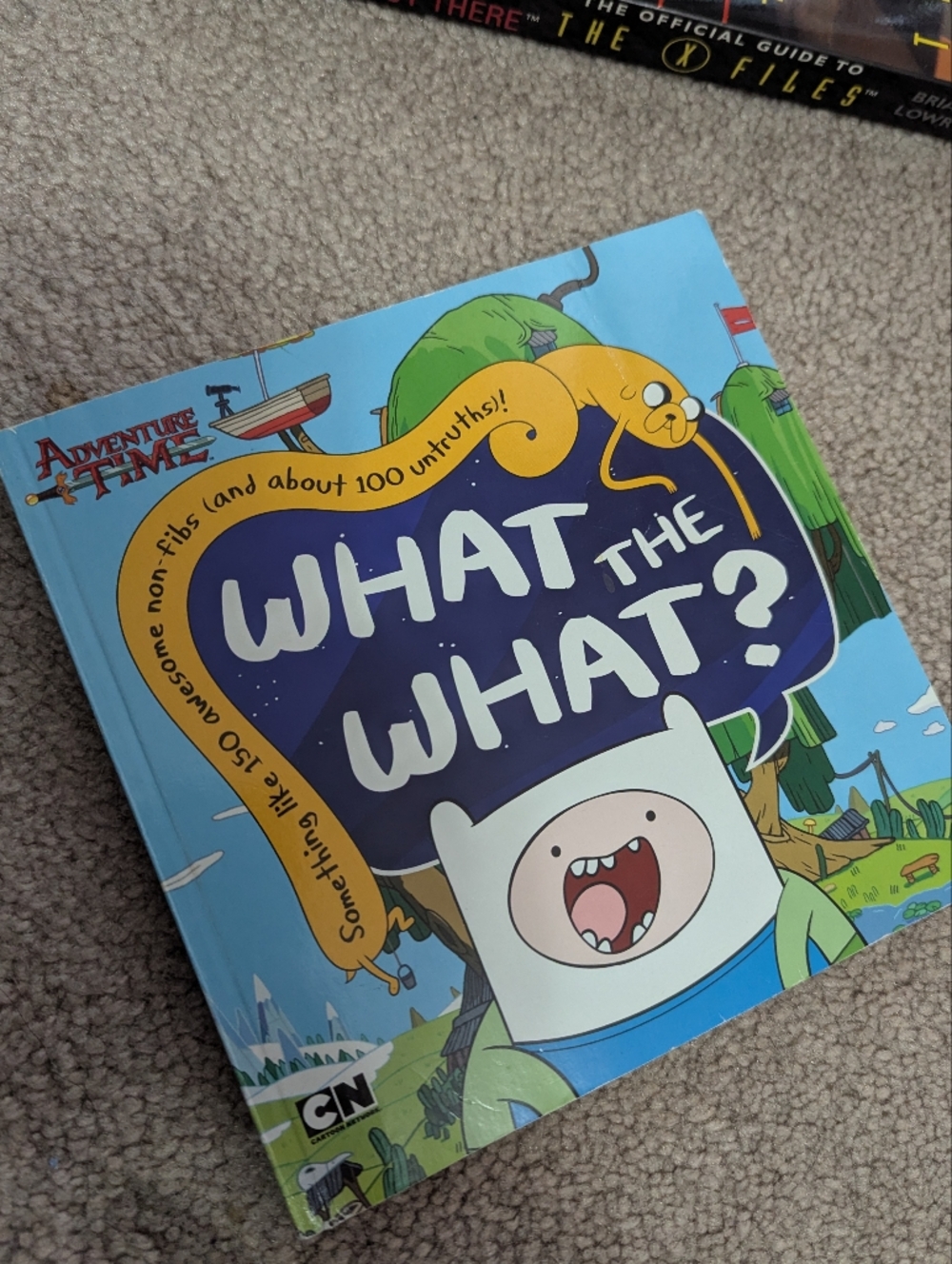 Cartoon Network Adventure Time Book